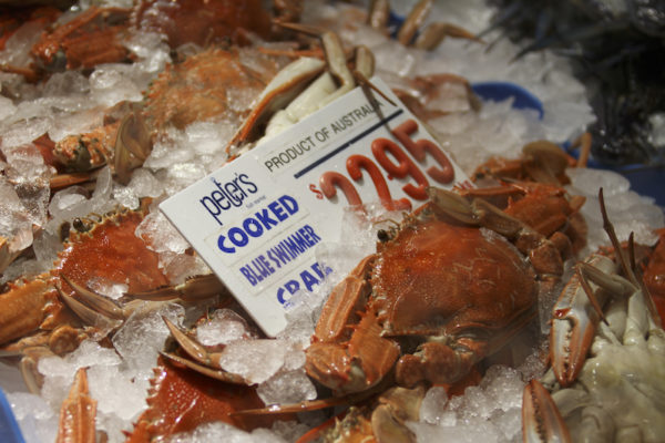 King Crab no Mercado dos Peixes de Sydney na Australia