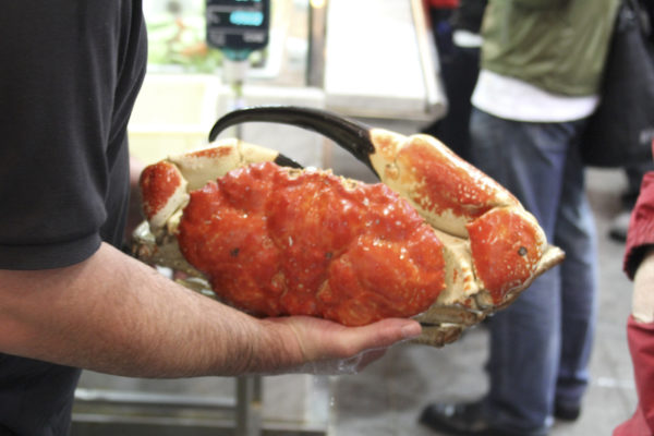 Caranguejo Gigante no Mercado dos Peixes de Sydney na Australia