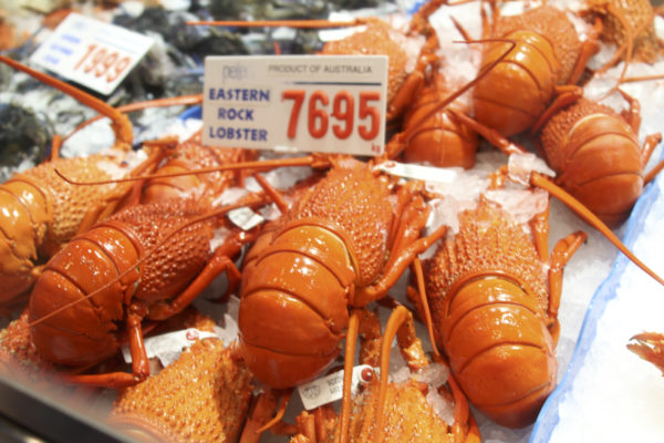 Mercado dos Peixes e Frutos do mar de Sydney