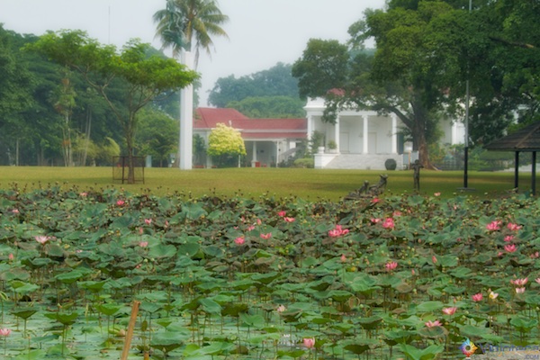 Jardim Botânico de Bogor na Indonésia