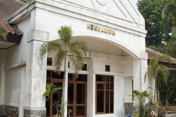 herbaria Jardim Botânico de Bogor na Indonésia