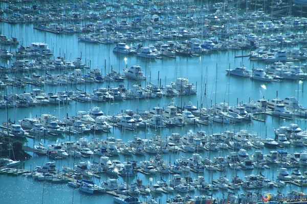 Cidade das Velas - Auckland