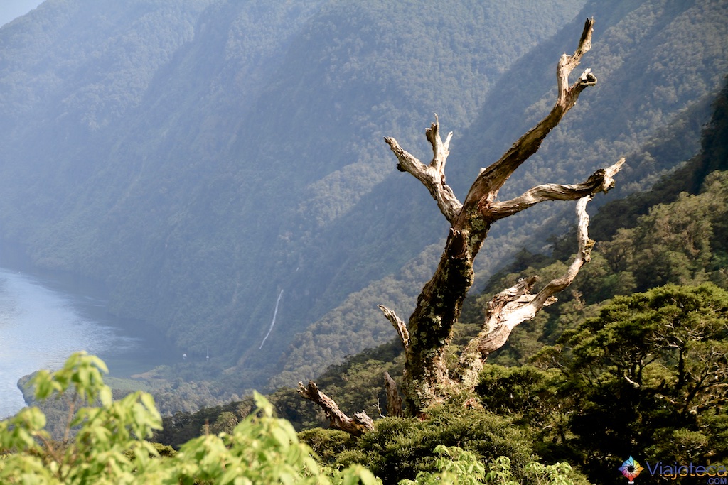 Paisagem ao longo da Wilmot Pass
