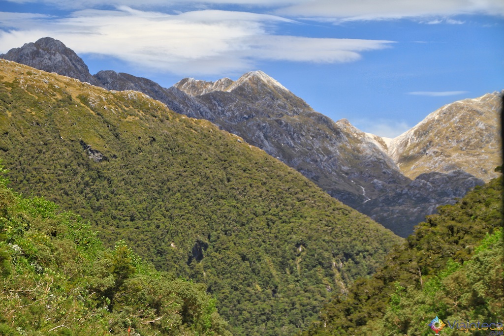 Doubtful Sound nos fiordes neozelandeses