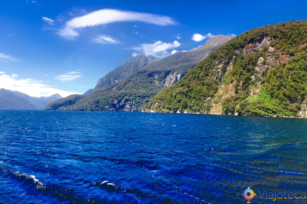 Doubtful Sound nos fiordes da Nova Zelândia 78