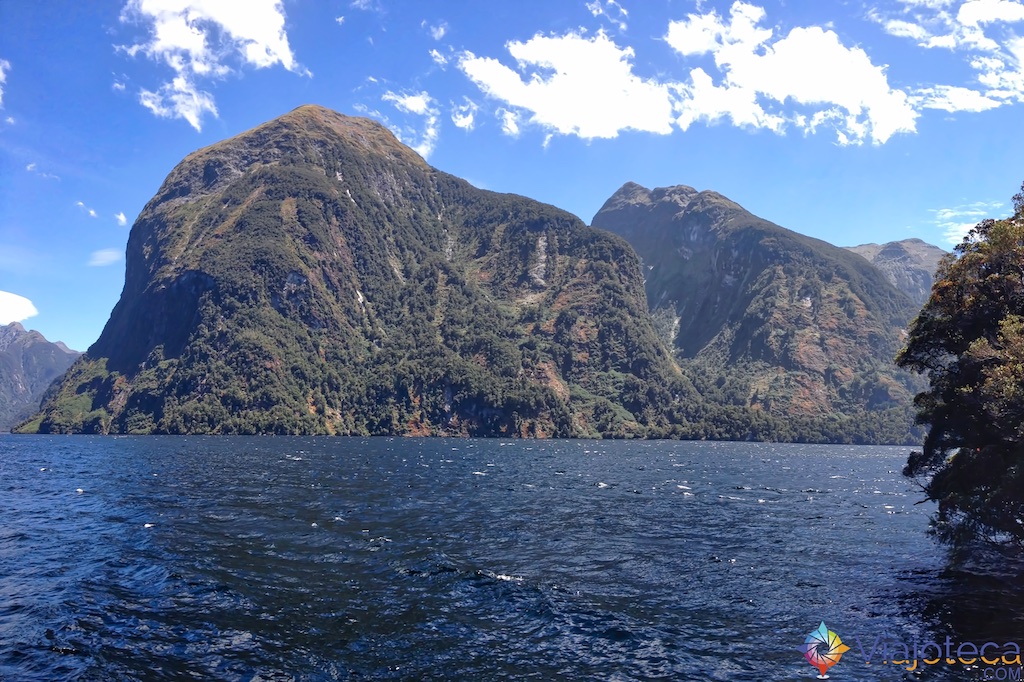 Doubtful Sound nos fiordes da Nova Zelândia 90