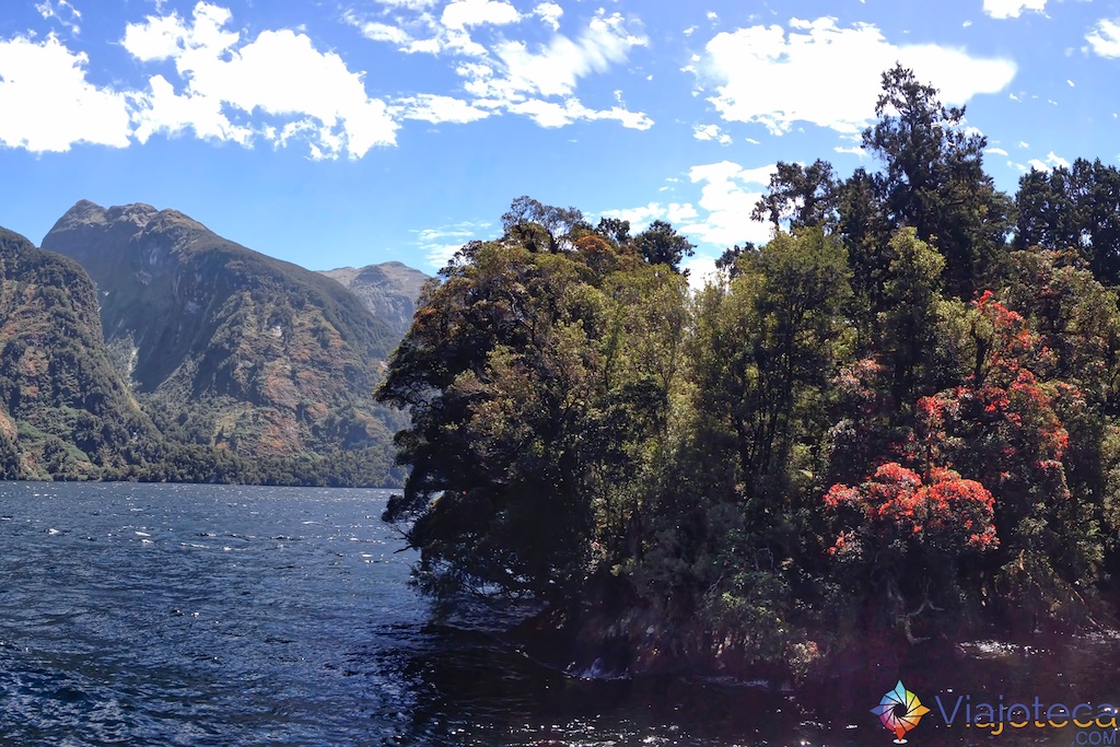 Doubtful Sound nos fiordes neozelandeses