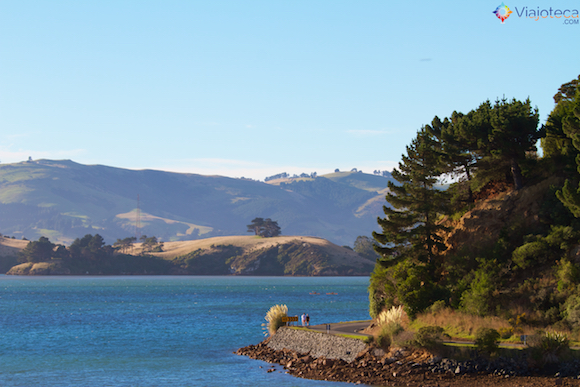 Estrada na Otago Península em Dunedin