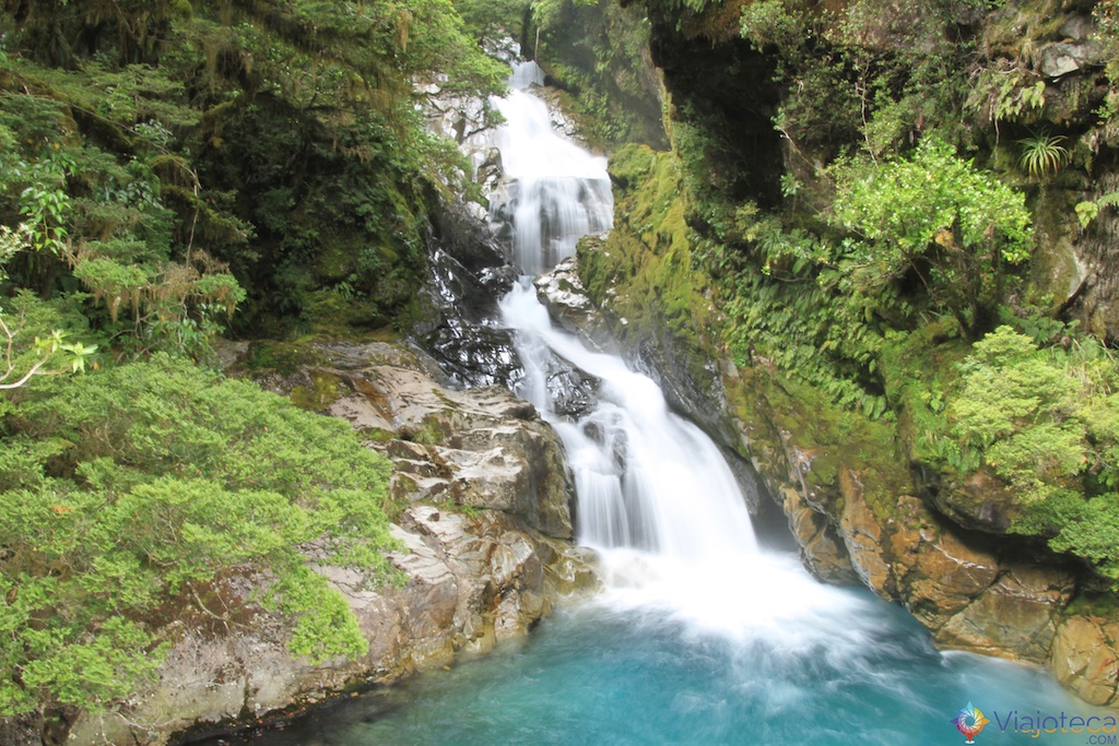Monkey Creek