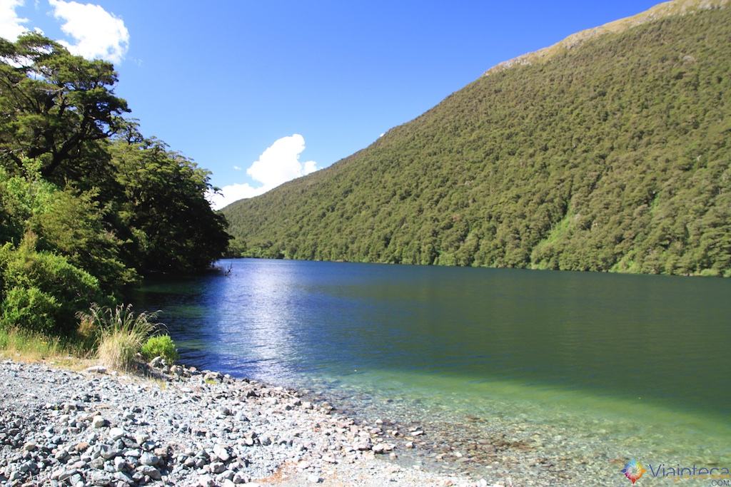 Estrada para o Milford Sound na Nova Zelândia
