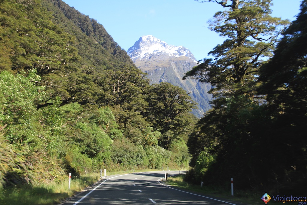 Estrada para o Milford Sound na Nova Zelândia