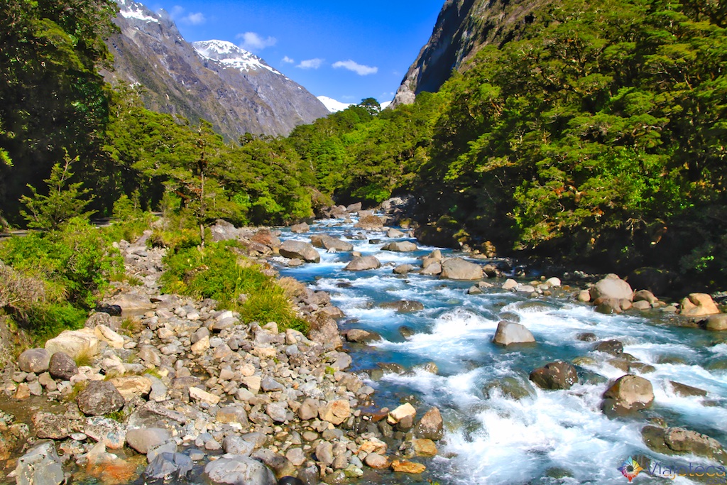 Estrada para o Milford Sound na Nova Zelândia