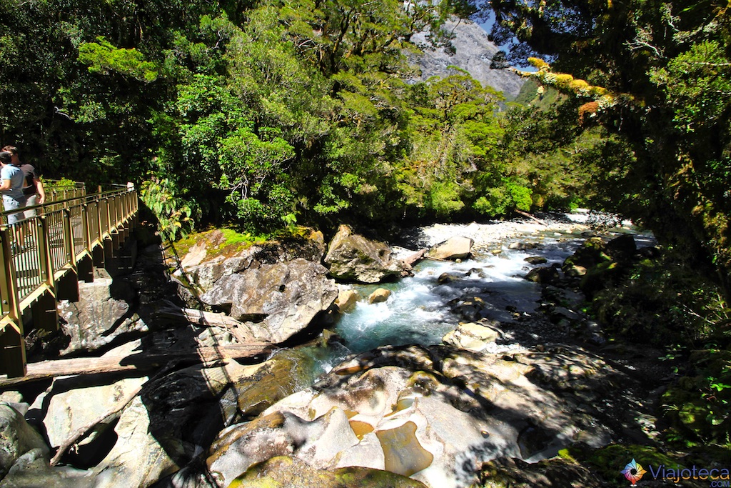 The Chasm
