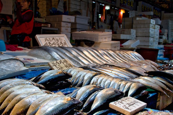 Noryangjin Fish Market em Seul na Coréia do Sul 25