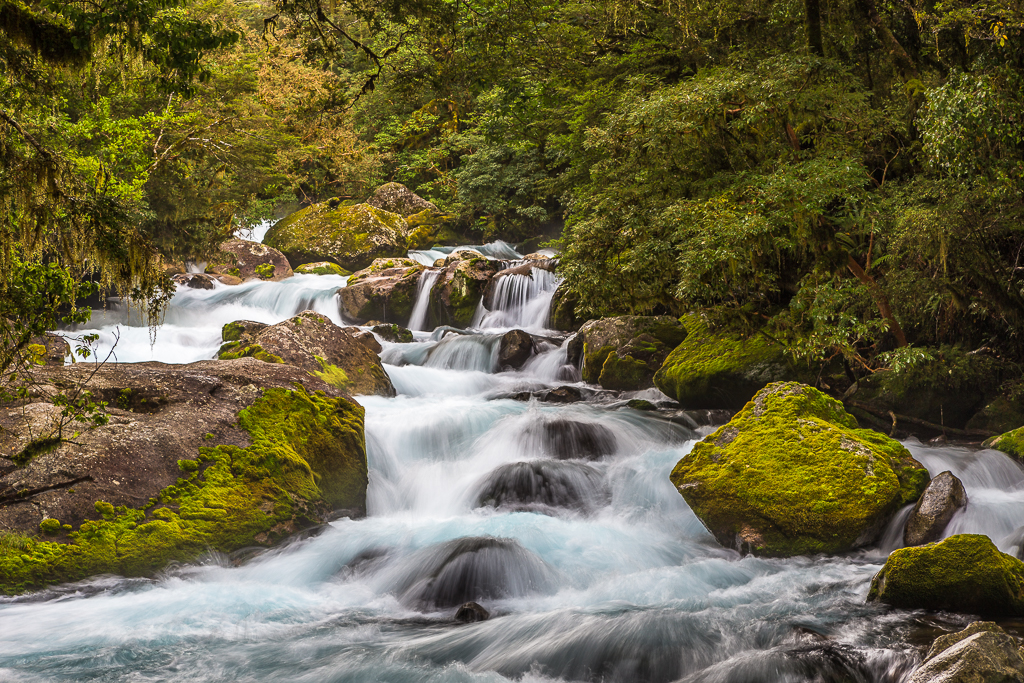 Riacho ao longo da Milford Road na Nova Zelândia