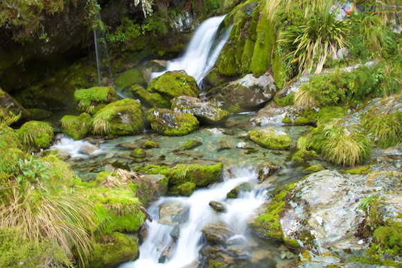 Routeburn Track Nova Zelândia (1)