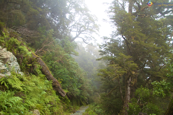 Routeburn Track Nova Zelândia (13)