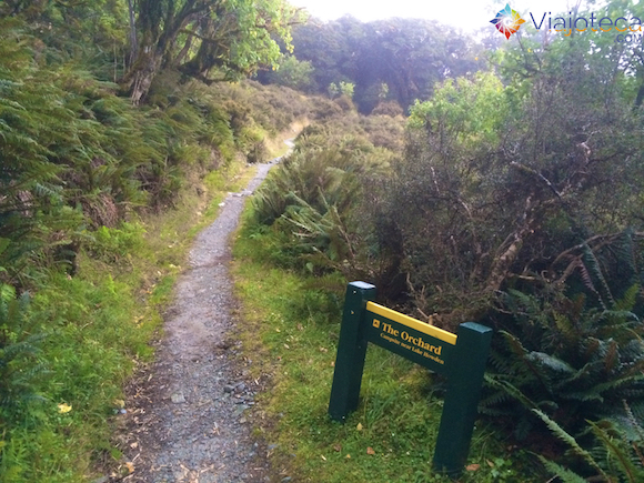 The Orchard na Routeburn Track Nova Zelândia (47)
