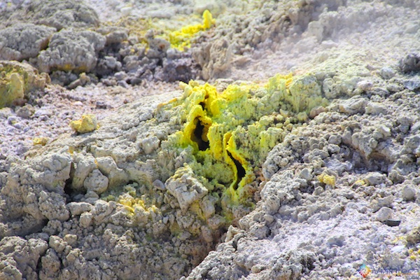 Cristais de Enxofre numa das fumarolas Wai-O-Tapu Themal Wonderland em em Rotorua