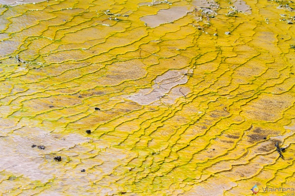 Depósitos sulfurosos no Primrose Terrace no Oyster Pool em Wai-O-Tapu em Rotorua