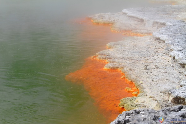 Champagne Pool em Rotorua