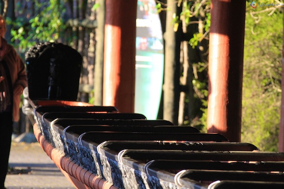 Waka em Te Puia – Rotorua