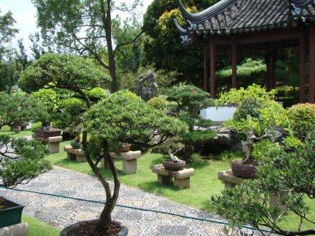 Bonsai Garden