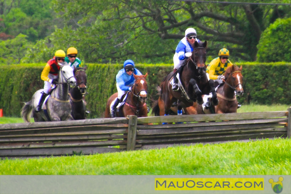 2.900+ Corrida De Obstáculos Corrida De Cavalos Fotos fotos de