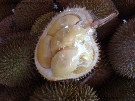 Durian