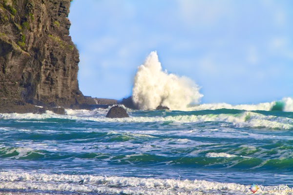 Mar da Tasmânia nas praias costas oeste de Auckland