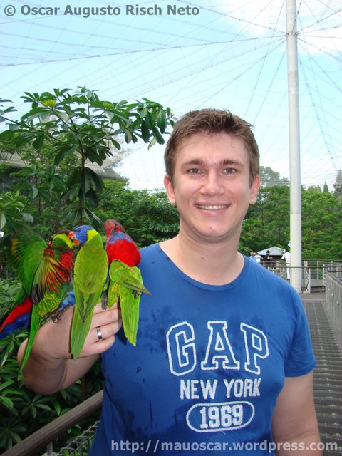 Jurong BirdPark  Mauricio