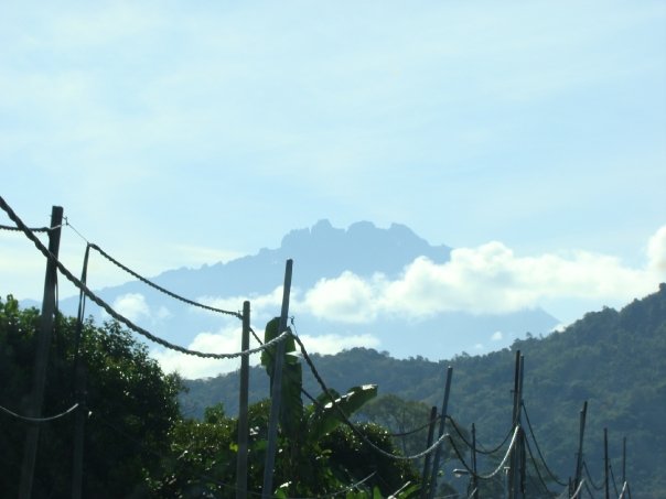 vista-mount-kinabalu3