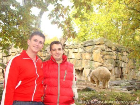 Zoo Berlin - Mauoscar e Knut